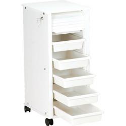 12K60 Supply Cart