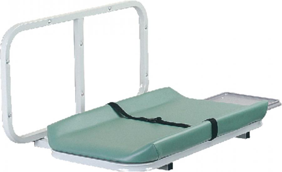 12ISH Wall Mounted Infant Stations